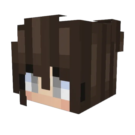 Experiened Minecraft avatar head, 3D render