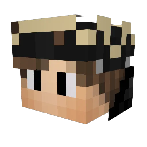 ExpertPLet Minecraft avatar head, 3D render