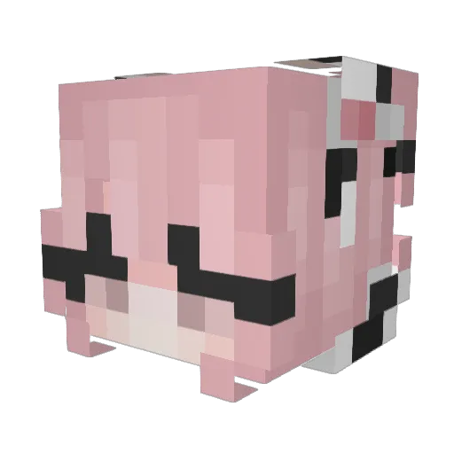 ExpertPigg Minecraft avatar head, 3D render