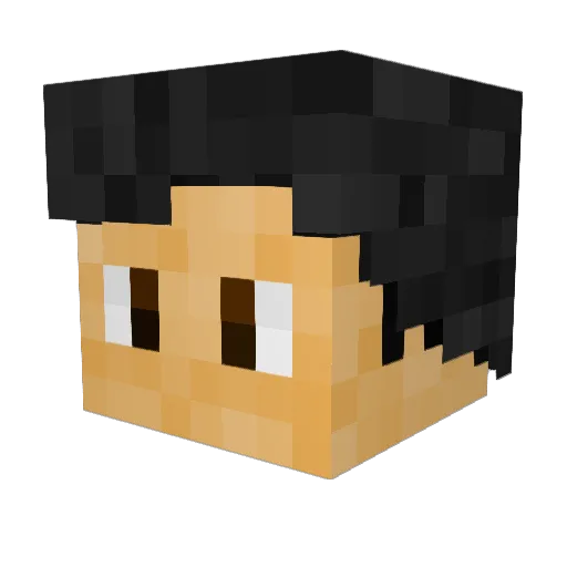ExpertSubset426 Minecraft avatar head, 3D render