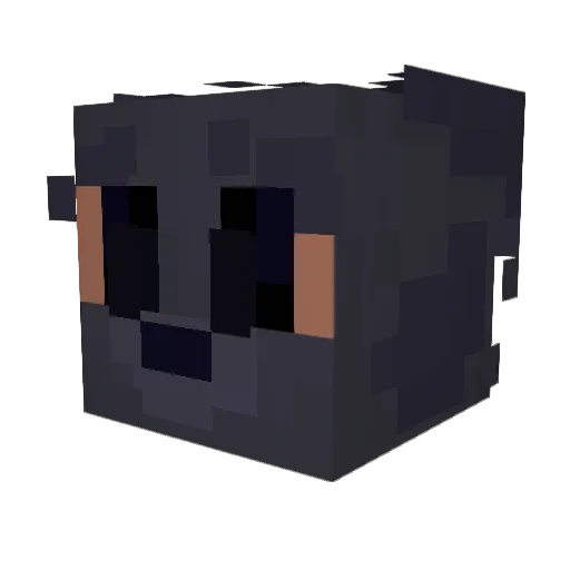 Expie_002 Minecraft avatar head, 3D render