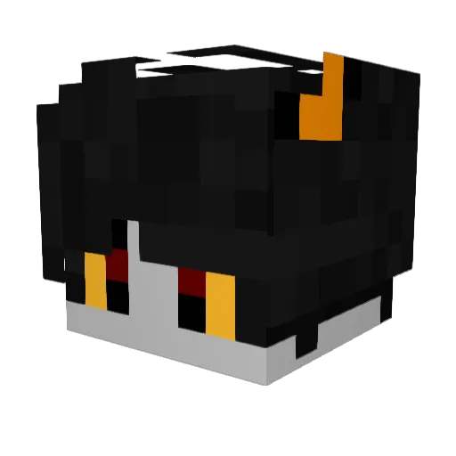 Expireal_Gaming Minecraft avatar head, 3D render
