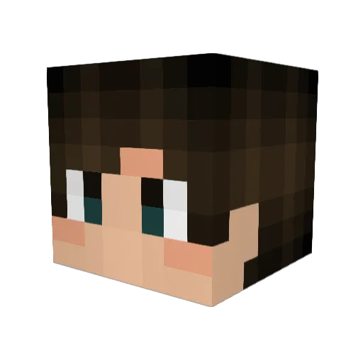 Expirecll Minecraft avatar head, 3D render