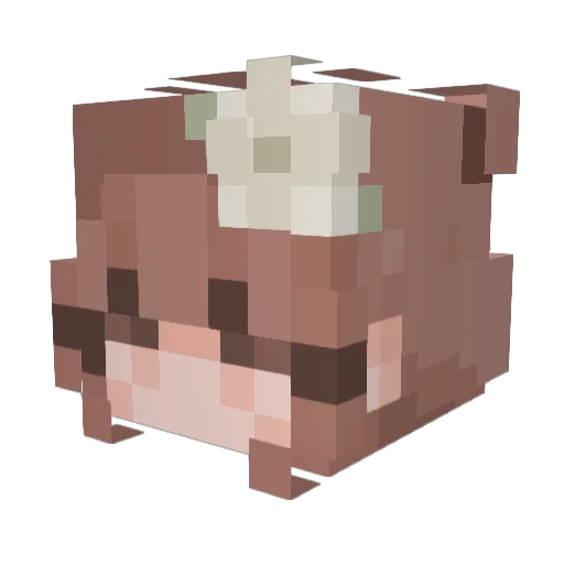 ExpiredEnemy Minecraft avatar head, 3D render