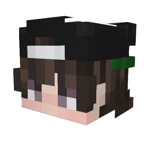 Expirence Minecraft avatar head, 3D render