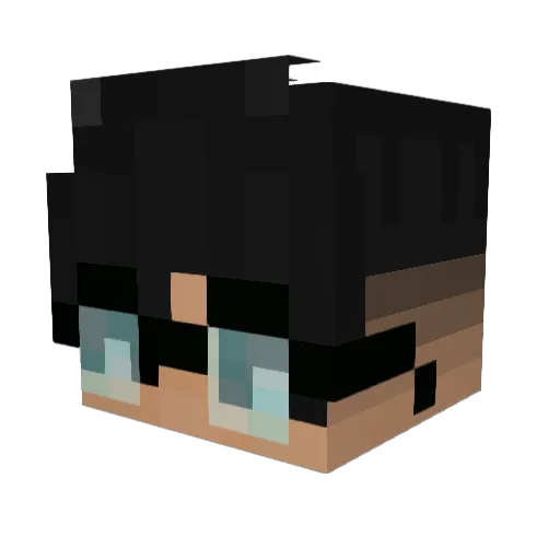 Expirou Minecraft avatar head, 3D render