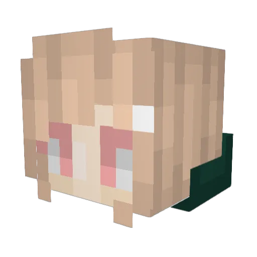 Expit Minecraft avatar head, 3D render