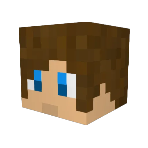 Expl0ited Minecraft avatar head, 3D render