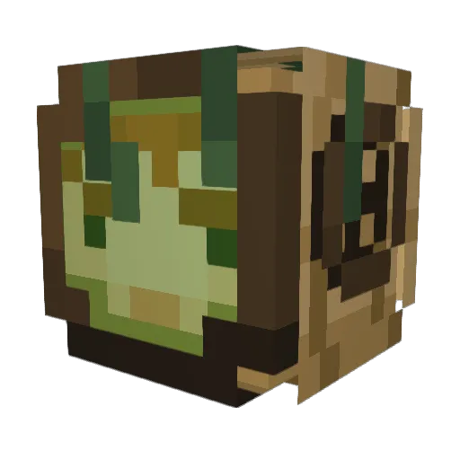ExplainOWEN Minecraft avatar head, 3D render