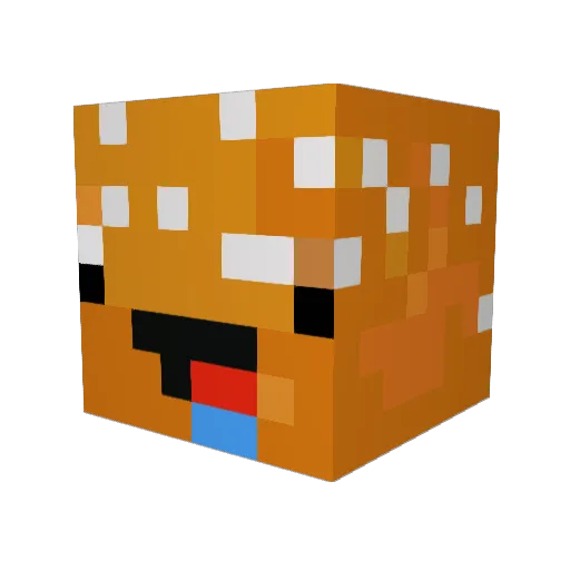 ExplodingBurg Minecraft avatar head, 3D render