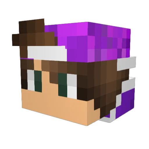 Explodingcake125 Minecraft avatar head, 3D render