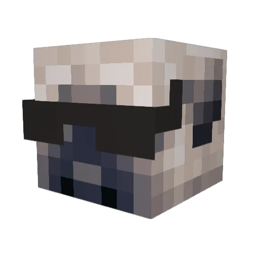Explodinq_Pugz Minecraft avatar head, 3D render