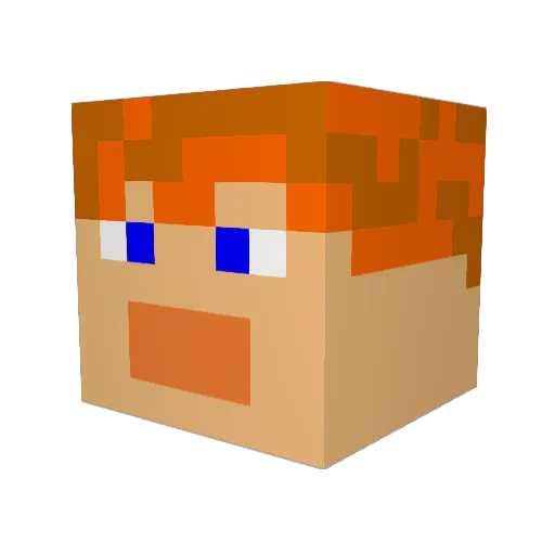Explorer_Orca Minecraft avatar head, 3D render