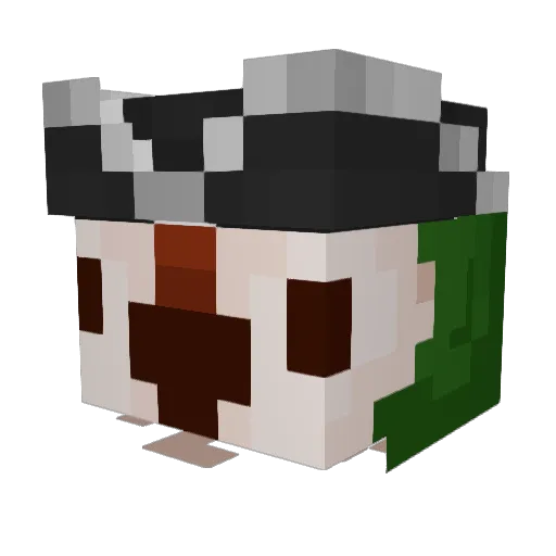 Exploreralex64 Minecraft avatar head, 3D render