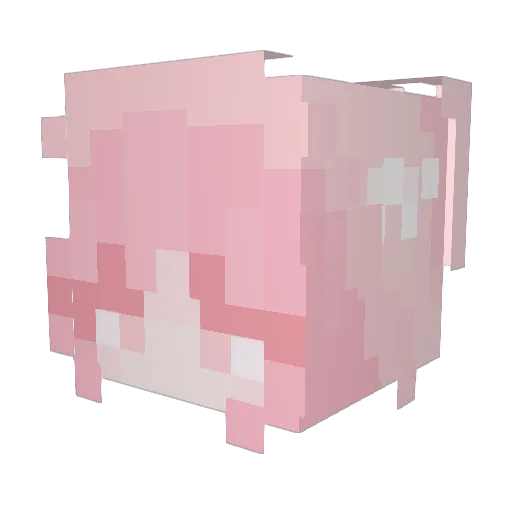 ExplorersOfTime Minecraft avatar head, 3D render