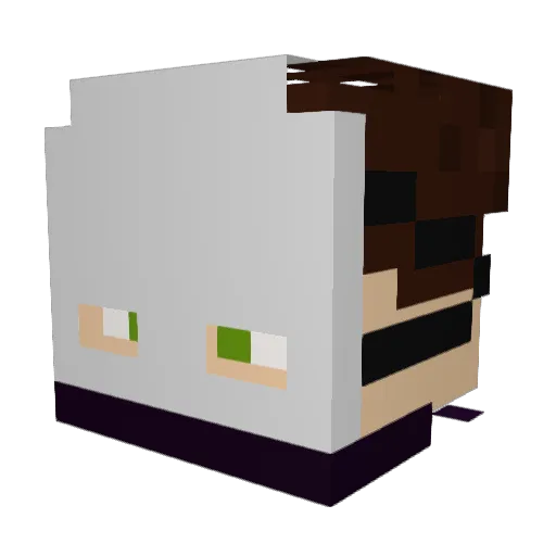 Explorex215 Minecraft avatar head, 3D render
