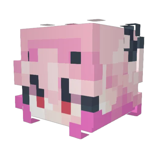 Explosion_Mage_ Minecraft avatar head, 3D render