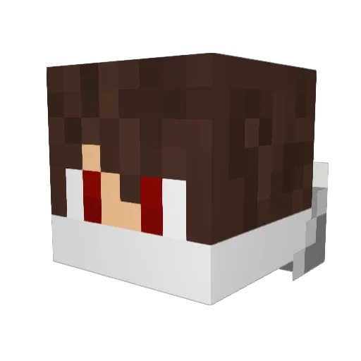 Explosivestorm9 Minecraft avatar head, 3D render