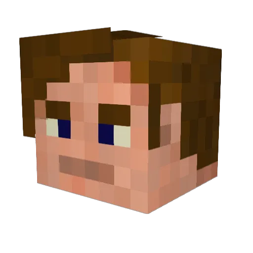 Exply_ Minecraft avatar head, 3D render