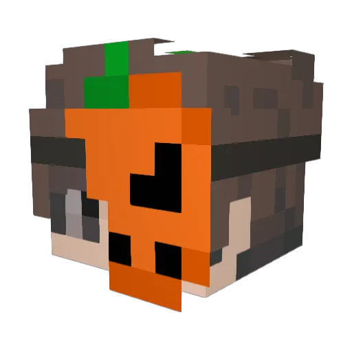 ExpoSolar Minecraft avatar head, 3D render