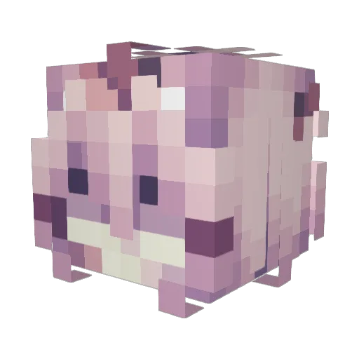 Expur Minecraft avatar head, 3D render