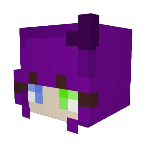 ExquisiteSyed Minecraft avatar head, 3D render