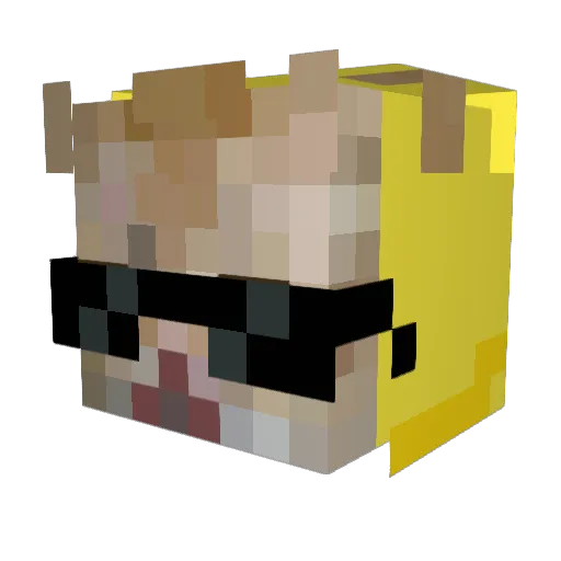Exquna Minecraft avatar head, 3D render