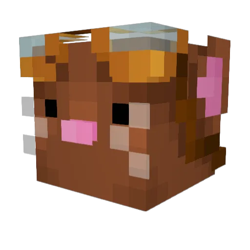 Exsofe Minecraft avatar head, 3D render