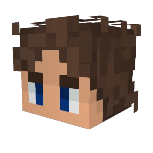Ext1nqt Minecraft avatar head, 3D render