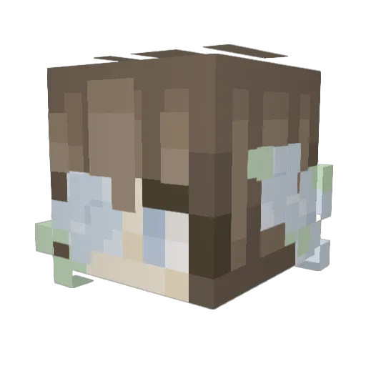 ExtantDolphin19 Minecraft avatar head, 3D render