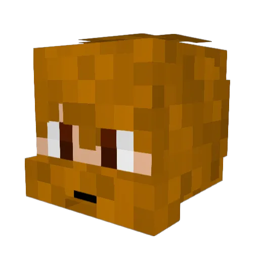 Extaro00 Minecraft avatar head, 3D render