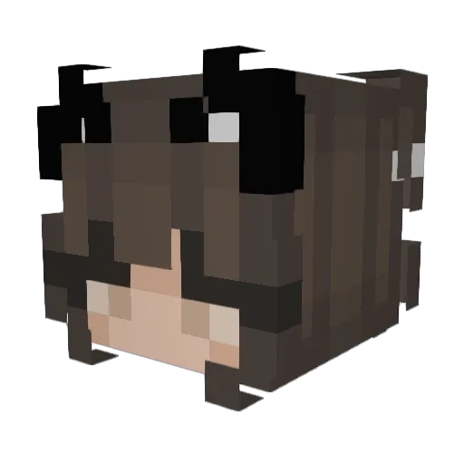 Extasis4u Minecraft avatar head, 3D render