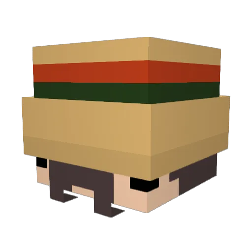 Extensions_ Minecraft avatar head, 3D render