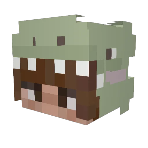 Exterminator1441 Minecraft avatar head, 3D render