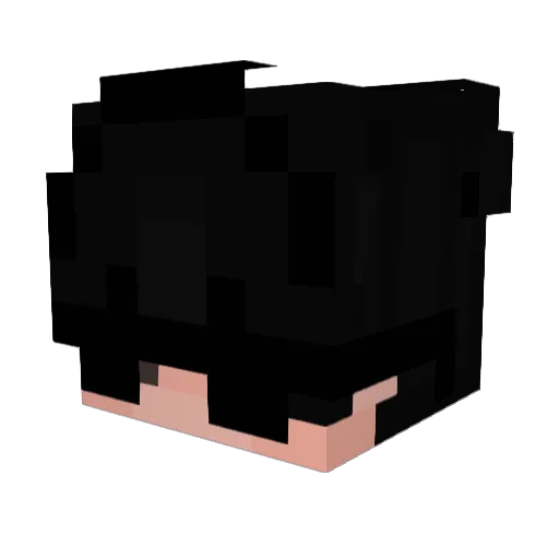 Extermine54 Minecraft avatar head, 3D render