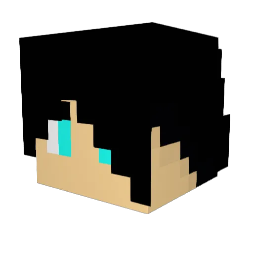 ExternalBag2623 Minecraft avatar head, 3D render