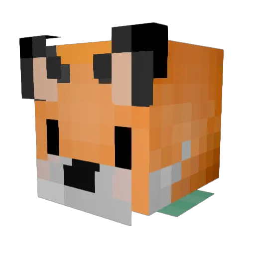 ExternalFlee Minecraft avatar head, 3D render