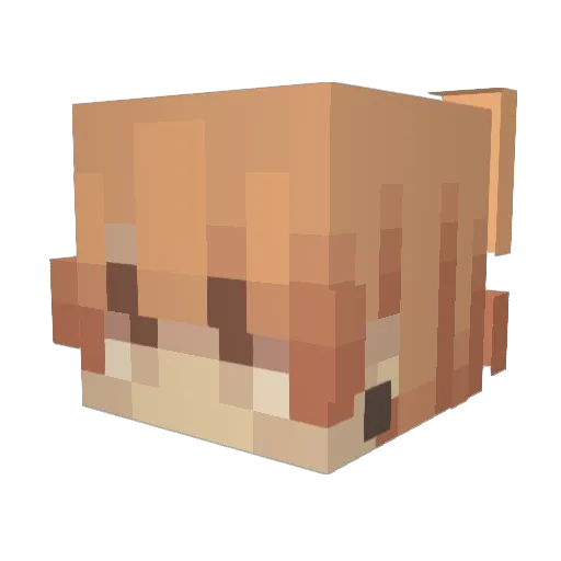 Extinct_A Minecraft avatar head, 3D render