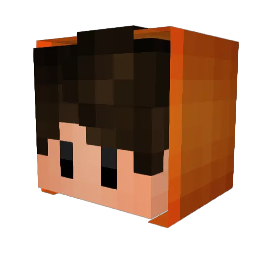 Extra4Skin Minecraft avatar head, 3D render
