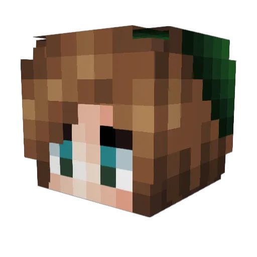 ExtraAcorn Minecraft avatar head, 3D render
