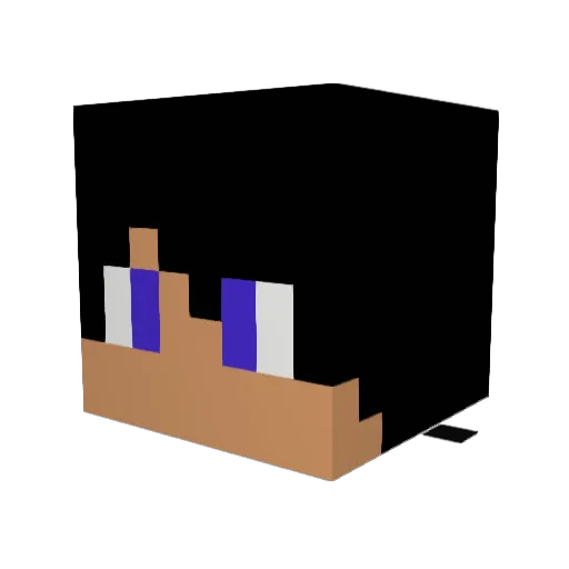 ExtraJackGuest Minecraft avatar head, 3D render