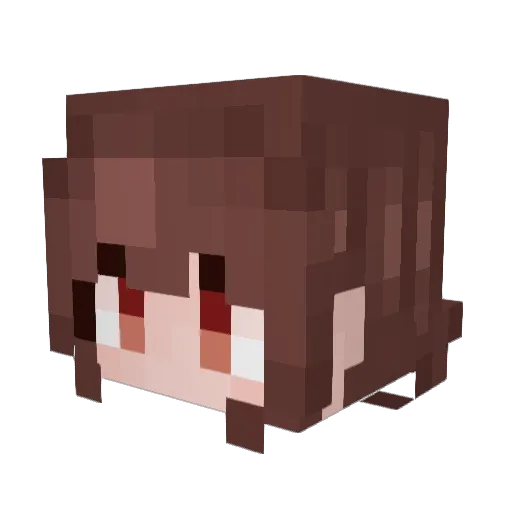 ExtraNSP Minecraft avatar head, 3D render