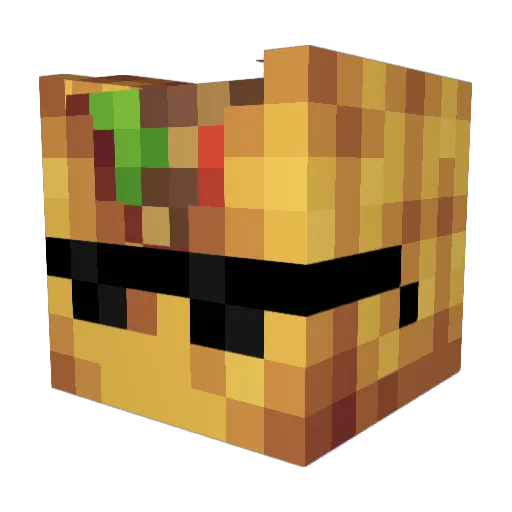 ExtraSapa Minecraft avatar head, 3D render