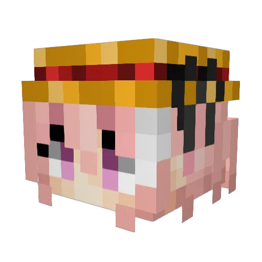 ExtraSmiggyBalls Minecraft avatar head, 3D render