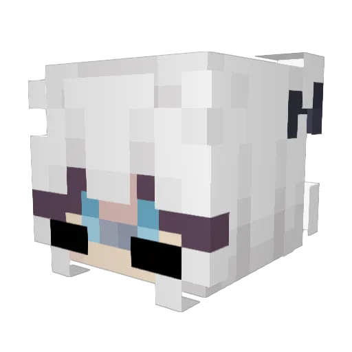 ExtraVielZucker Minecraft avatar head, 3D render