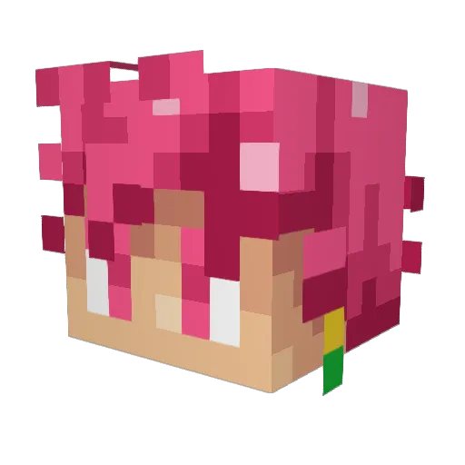 ExtraaRicee Minecraft avatar head, 3D render