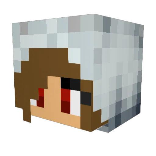 Extranet Minecraft avatar head, 3D render