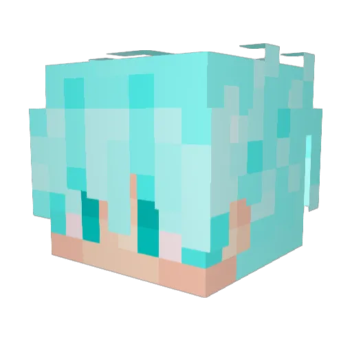 ExtremeFight Minecraft avatar head, 3D render