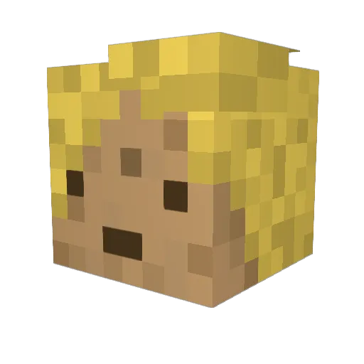 ExtremeGrammar Minecraft avatar head, 3D render