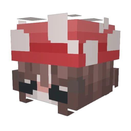 ExtremelyNacho Minecraft avatar head, 3D render